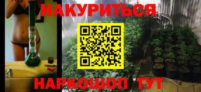 прущие грибы Славгород