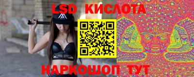 прущие грибы Славгород